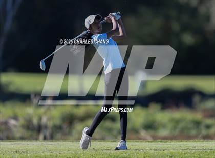Thumbnail 1 in CIF NCS D1 Golf Championship photogallery.