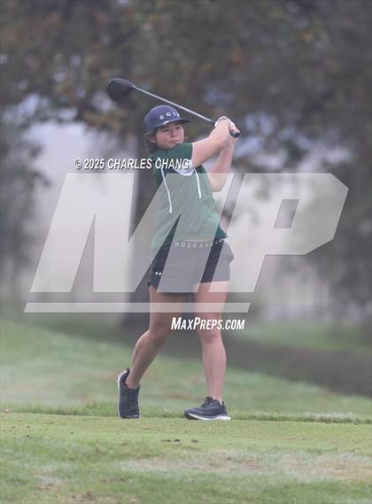 Thumbnail 1 in CIF NCS D1 Golf Championship photogallery.