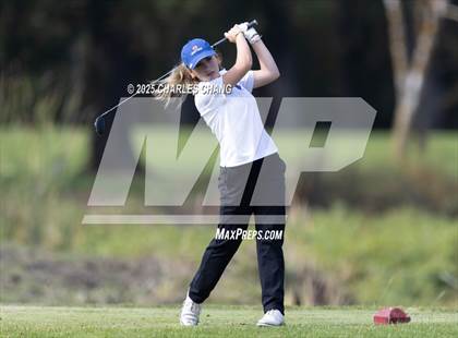 Thumbnail 3 in CIF NCS D1 Golf Championship photogallery.