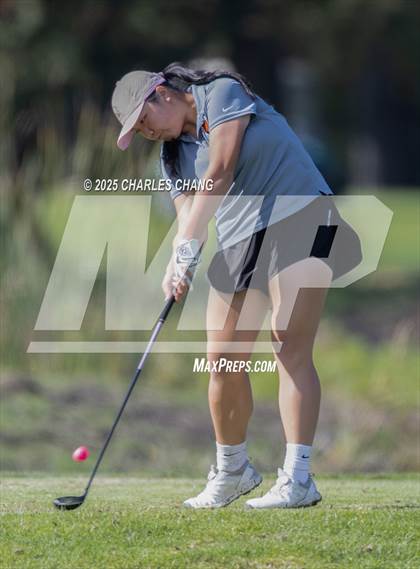 Thumbnail 1 in CIF NCS D1 Golf Championship photogallery.