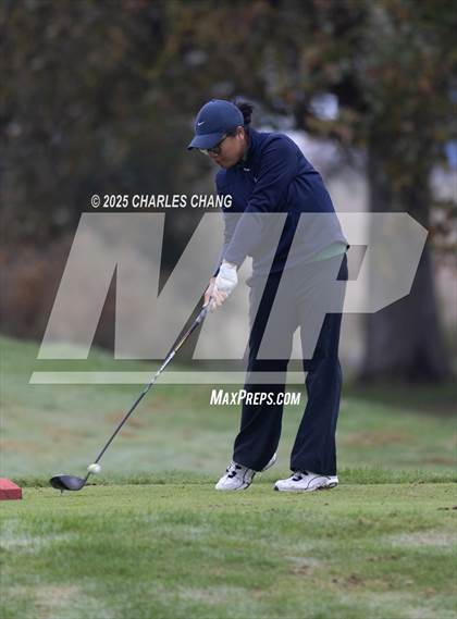 Thumbnail 1 in CIF NCS D1 Golf Championship photogallery.