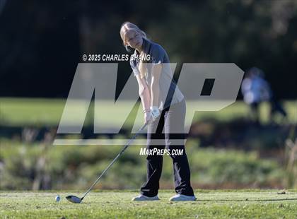 Thumbnail 3 in CIF NCS D1 Golf Championship photogallery.