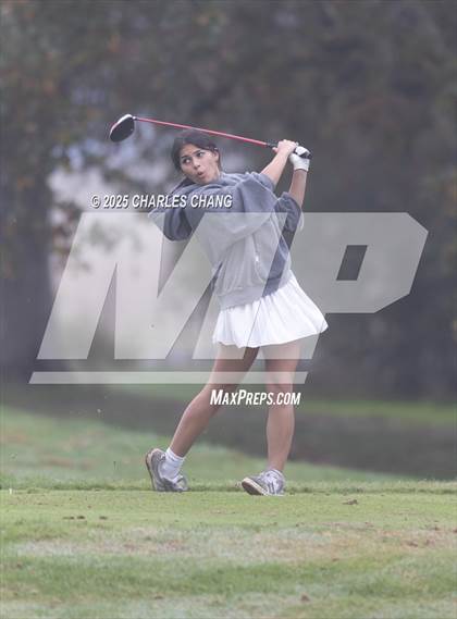 Thumbnail 3 in CIF NCS D1 Golf Championship photogallery.