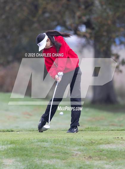 Thumbnail 1 in CIF NCS D1 Golf Championship photogallery.