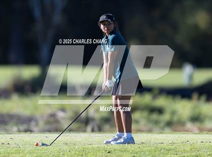 Thumbnail 1 in CIF NCS D1 Golf Championship photogallery.