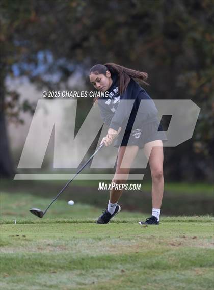 Thumbnail 1 in CIF NCS D1 Golf Championship photogallery.