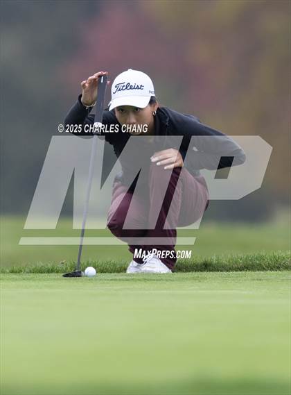 Thumbnail 2 in CIF NCS D1 Golf Championship photogallery.