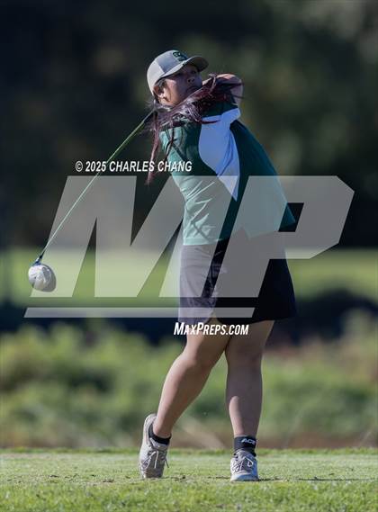 Thumbnail 1 in CIF NCS D1 Golf Championship photogallery.