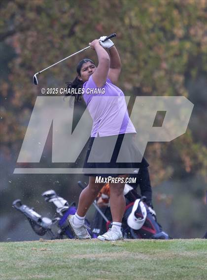 Thumbnail 2 in CIF NCS D1 Golf Championship photogallery.
