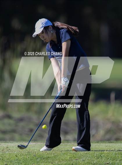 Thumbnail 1 in CIF NCS D1 Golf Championship photogallery.