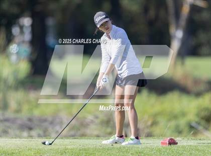 Thumbnail 1 in CIF NCS D1 Golf Championship photogallery.
