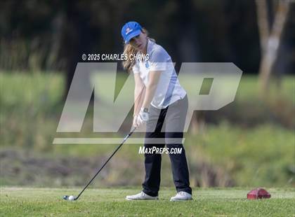 Thumbnail 1 in CIF NCS D1 Golf Championship photogallery.