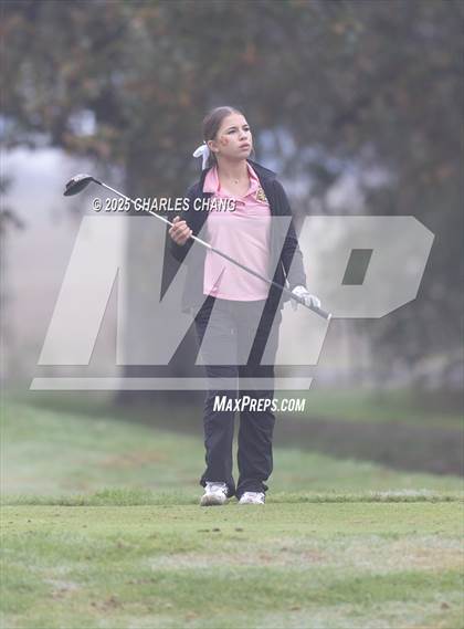 Thumbnail 1 in CIF NCS D1 Golf Championship photogallery.