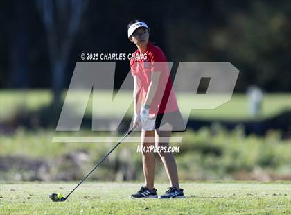 Thumbnail 2 in CIF NCS D1 Golf Championship photogallery.