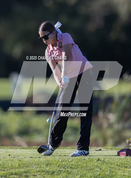 Thumbnail 1 in CIF NCS D1 Golf Championship photogallery.