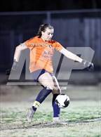 Photo from the gallery "Community School of Davidson @ East Mecklenburg"