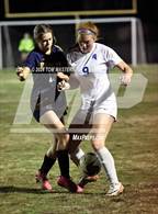 Photo from the gallery "Community School of Davidson @ East Mecklenburg"