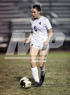 Photo from the gallery "Community School of Davidson @ East Mecklenburg"