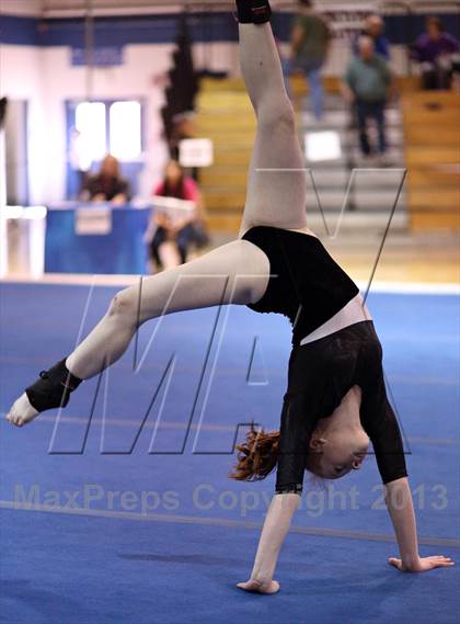 Thumbnail 1 in CHSAA 4A State Gymnastics Championships photogallery.