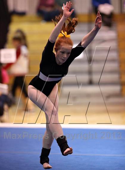 Thumbnail 2 in CHSAA 4A State Gymnastics Championships photogallery.