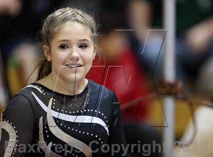 Thumbnail 1 in CHSAA 4A State Gymnastics Championships photogallery.