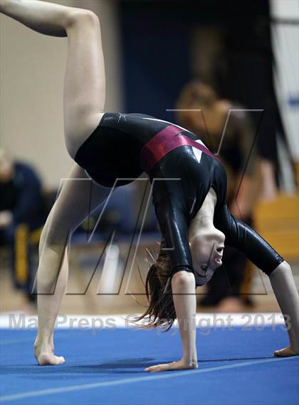 Thumbnail 3 in CHSAA 4A State Gymnastics Championships photogallery.