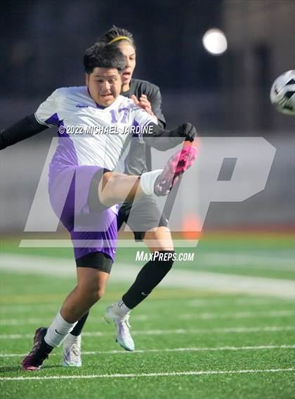 Thumbnail 1 in Foster @ Sammamish photogallery.