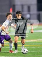 Photo from the gallery "Foster @ Sammamish"