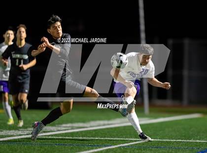 Thumbnail 2 in Foster @ Sammamish photogallery.