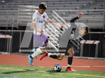 Thumbnail 3 in Foster @ Sammamish photogallery.