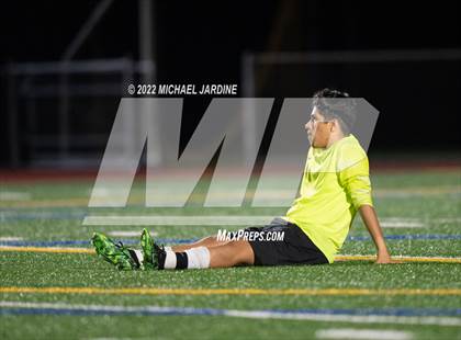 Thumbnail 2 in Foster @ Sammamish photogallery.