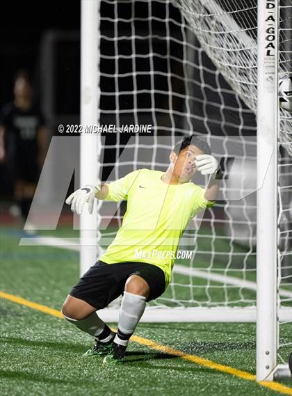 Thumbnail 3 in Foster @ Sammamish photogallery.