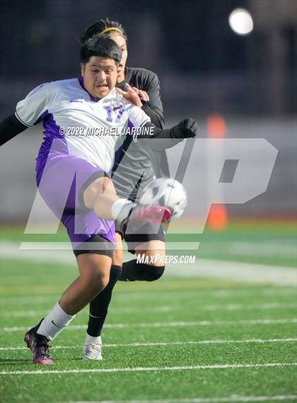 Thumbnail 3 in Foster @ Sammamish photogallery.