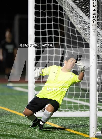Thumbnail 2 in Foster @ Sammamish photogallery.