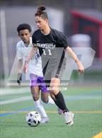 Photo from the gallery "Foster @ Sammamish"