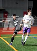 Photo from the gallery "Foster @ Sammamish"
