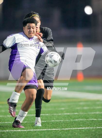 Thumbnail 2 in Foster @ Sammamish photogallery.