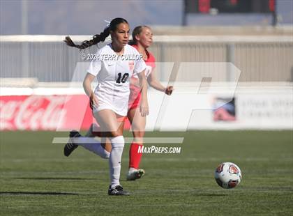 Thumbnail 1 in Manti vs. Ogden (UHSAA 3A Semifinal) photogallery.