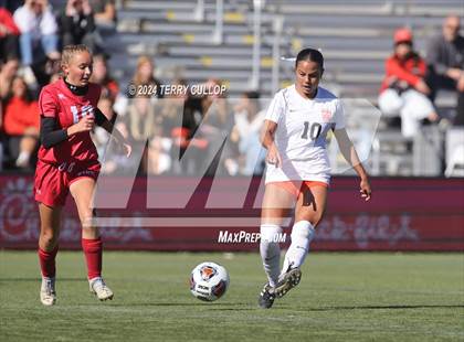 Thumbnail 1 in Manti vs. Ogden (UHSAA 3A Semifinal) photogallery.