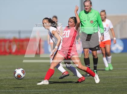 Thumbnail 1 in Manti vs. Ogden (UHSAA 3A Semifinal) photogallery.