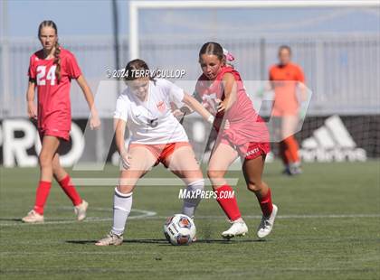 Thumbnail 1 in Manti vs. Ogden (UHSAA 3A Semifinal) photogallery.