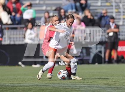 Thumbnail 1 in Manti vs. Ogden (UHSAA 3A Semifinal) photogallery.