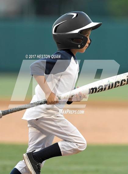 Thumbnail 1 in Marina vs Newport Harbor photogallery.