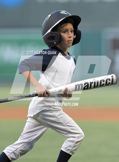 Thumbnail 3 in Marina vs Newport Harbor photogallery.