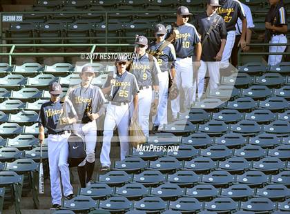 Thumbnail 1 in Marina vs Newport Harbor photogallery.