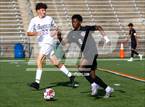 Photo from the gallery "Chantilly @ Westfield"