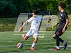 Photo from the gallery "Chantilly @ Westfield"