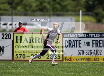 Thumbnail 1 in Danville vs. Shamokin Area (PIAA District IV 4A Final) photogallery.
