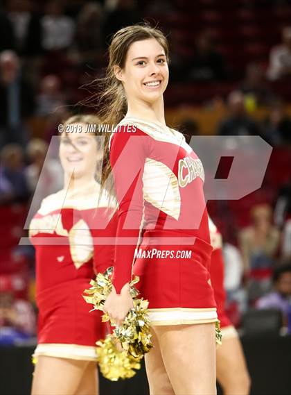 Thumbnail 1 in Arcadia vs. Chaparral  (AIA 5A Semifinal) photogallery.