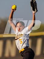 Photo from the gallery "Widefield @ Palmer"